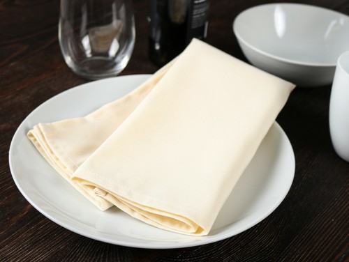 Restaurant Grade Spun Polyester Napkins